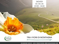Tra i fiori di montagna | Giovedì 1 maggio 2025 dalle ore 10.00