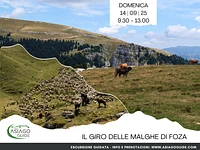  The Tour of the Malghe di Foza | Sun 14 September 2025 from 9.30 am