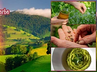 S09 Andar per erbe ad Asiago con cena 25 04 26