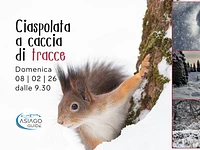 W41 Ciaspolata a caccia di tracce 08 02 26