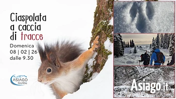 w41 ciaspolata a caccia di tracce 08 02 26