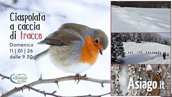 w32 ciaspolata a caccia di tracce 11 01 26