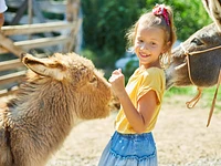 Baby trekking con gli asini a tresche conca altopiano di asiago