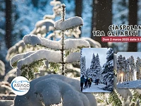 Ciaspolando tra gli abeti innevati - Domenica 2 marzo 2025 dalle 9.30