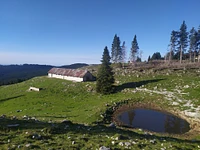 Escursione all'alba tra le malghe del monte Verena - Mezzaselva, Domenica 4 agosto (4.30-8.00)