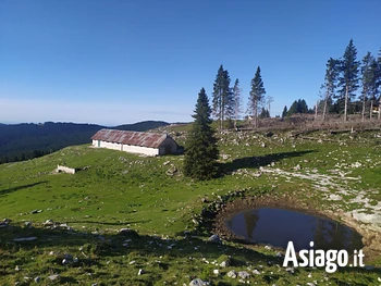 Malghe Verena