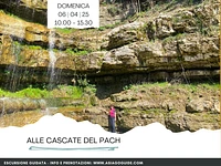 Emotions in Nature at the Pach Falls | Sunday 5 April 2025 from 10.00 am