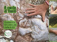 S24 A caccia di fossili escursione ad Asiago 07 06 26
