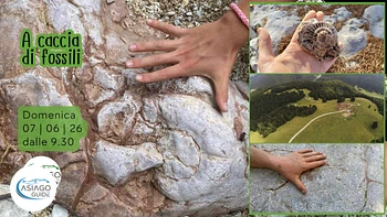 s24 a caccia di fossili escursione ad asiago 07 06