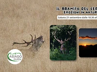 Il bramito del Cervo: emozioni in natura - Sab 21 settembre 2024 dalle 18.30