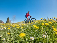 "E-BIKE-AUSFLUG UNTER DEN BERGHÜTTEN" geführter E-Bike-Ausflug - 29. August 2024