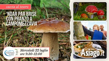 E05 Caccia al tesoro funghi 22 07 26 andar par brise