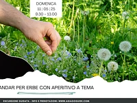 Andar per erbe con aperitivo a tema | Domenica 11 maggio 2025 dalle 9.30
