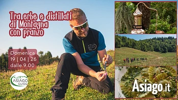 s07 tra erbe e distillati di montagna con pranzo 1