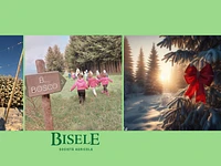 Sorprese dal Bosco | Sab 4 gennaio 2025 dalle 10.30 alle 11.30