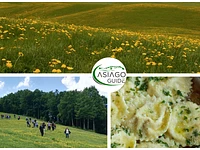 Kräuter und Blumen auf dem Teller: Food Walk mit Abendessen auf der Terrasse - Samstag, 25. Mai 2024 ab 16.30 Uhr