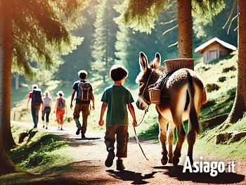 Trekking someggiato a Cesuna