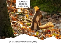 Herbstliche Tierwelt | Sonntag, 16. November 2025, ab 9.30 Uhr