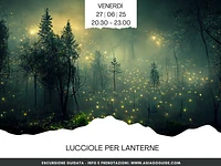 Fireflies for lanterns | Friday 27 June 2025 from 8.30 pm