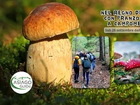 Nel regno dei funghi con pranzo a Campomezzavia - Sabato 28 settembre 2024 dalle 9.30