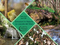 Emotions in Nature: the Silan waterfalls - Sunday 2 April 2023 from 9.30 am 