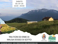 Among the flowers and herbs of Malga Dosso di Sotto | Saturday 5 July 2025 from 3.30 pm