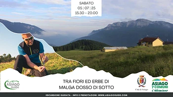 A04 Tra fiori ed erbe di Malga Dosso di Sotto