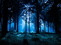 "Suoni della notte" escursione guidata sotto le stelle - Camporovere, sabato 2 agosto 2025