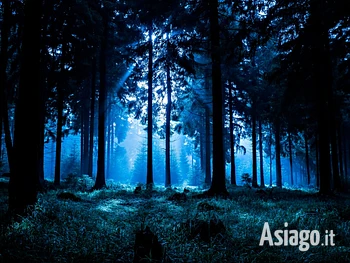 Escursione in notturna sull'altopiano di Asiago