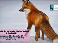 Storie invernali di alberi e animali: gioca escursione per famiglie con il Museo Naturalistico di Asiago - 31 dicembre 2022