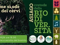 A10 Dalle cime si ode l’amore dei cervi 260926