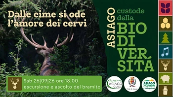 A10 Dalle cime si ode l’amore dei cervi 260926