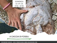 "HUNTING FOR FOSSILS" panoramic guided excursion - Gallio, Sunday 13 July 2025