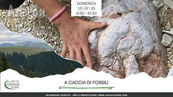 Escurdione guidata sull'Altopiano di Asiago A caccia di Fossili