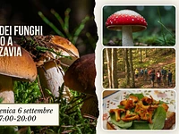 E31 Nel regno dei funghi con pranzo a Campomezzavia 06 09 26