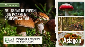 E31 Nel regno dei funghi con pranzo a Campomezzavia 06 09 26