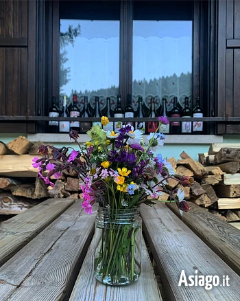 Vini e fiori al Rifugio Bar Alpino