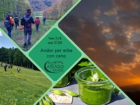 Andar per erbe al tramonto con cena -Venerdì 7 Aprile 2023 dalle 17:00 