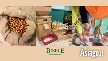 Oro d'autunno bisele 2024
