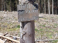 “Tra le opere di Vaia la storia del Monte Lemerle” escursione guidata - Cesuna, giovedì 23 luglio 2026
