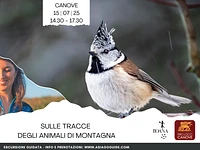 ESCURSIONE GUIDATA "Sulle tracce degli animali di montagna" - Canove, martedì 15 luglio 2025