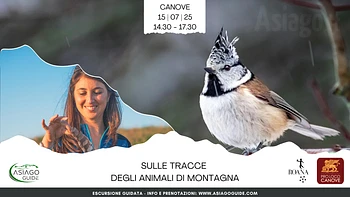 Escursione guidata sulle tracce degli animali di montagna