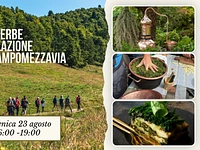 E27 Andar per erbe con distillazione e cena a Campomezzavia 23 08 26ok