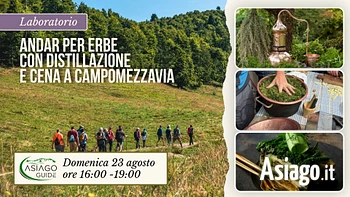E27 Andar per erbe con distillazione e cena a Campomezzavia 23 08 26ok