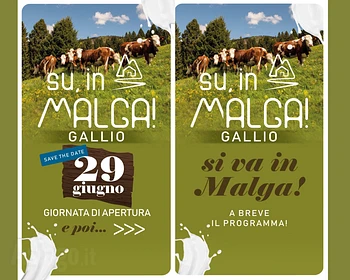 su in malga 2025 a gallio