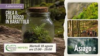 E22 Crea il tuo ecosistema 18 08 26