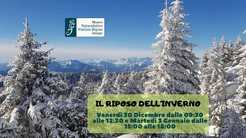 Il riposo dell'inverno: escursione per famiglie con il Museo Naturalistico di Asiago