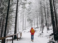 "AVVENTURA NELLA FORESTA" escursione guidata - Cesuna, 19 gennaio 2025