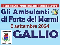 Il Mercato degli Ambulanti di Forte dei Marmi a Gallio 8 settembre 2024