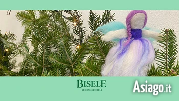 Le fate aromatiche bisele 2024